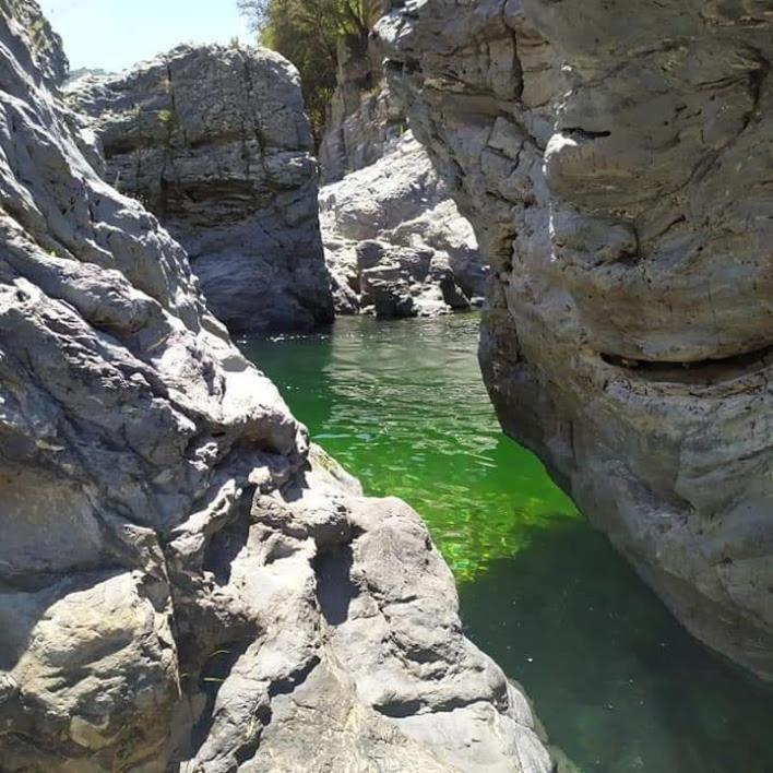 Sa Stiddiosa Guesthouse Gadoni Luaran gambar