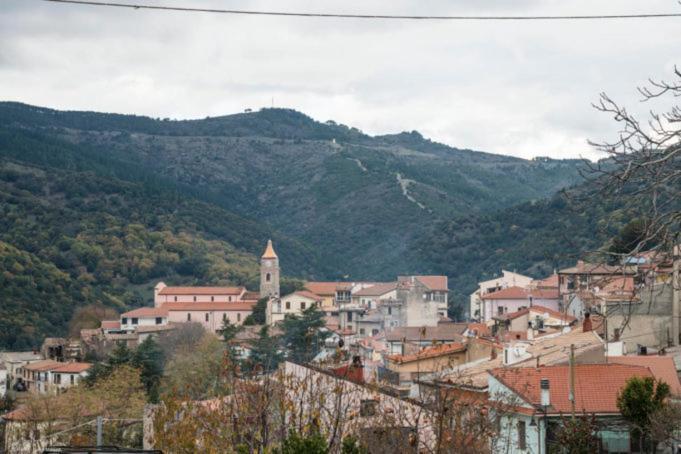 Sa Stiddiosa Guesthouse Gadoni Luaran gambar
